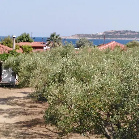 Lejlighed 1 Filio - - Sykia - Sithonia *